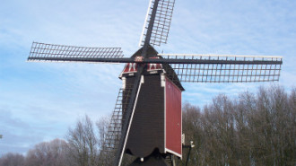 WikiMedia