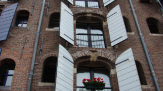 WikiMedia