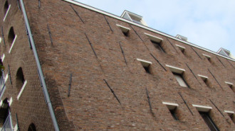 WikiMedia