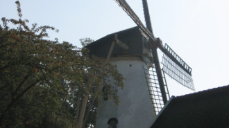 WikiMedia