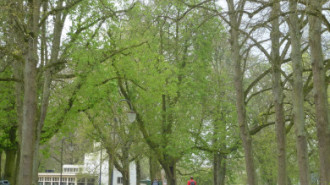 Rijksdienst voor het Cultureel Erfgoed: Lensvelt, Natascha