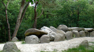 WikiMedia