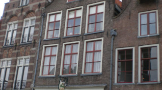 WikiMedia