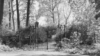 Rijksdienst voor het Cultureel Erfgoed: Heins, IJ.Th.