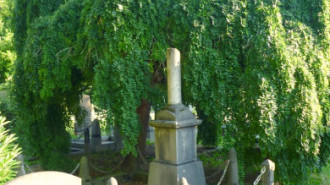 WikiMedia