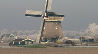 WikiMedia