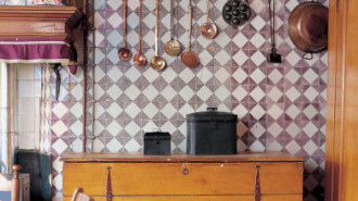 Rijksdienst voor het Cultureel Erfgoed: Lemaire, Louis