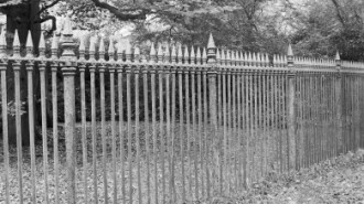 Rijksdienst voor het Cultureel Erfgoed: Wal, A.J. van der