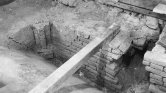 Rijksdienst voor het Cultureel Erfgoed: Delemarre, G.Th.