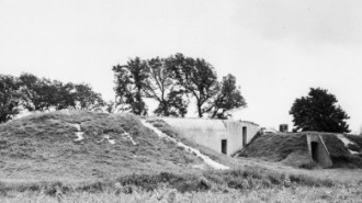 Rijksdienst voor het Cultureel Erfgoed: Koning, de