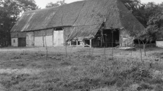 WikiMedia