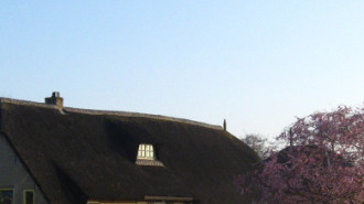 WikiMedia