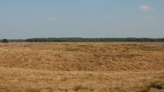 WikiMedia