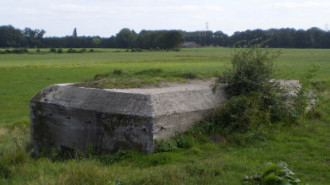 WikiMedia
