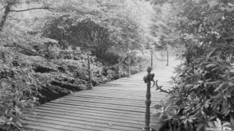 Rijksdienst voor het Cultureel Erfgoed: Wal, A.J. van der