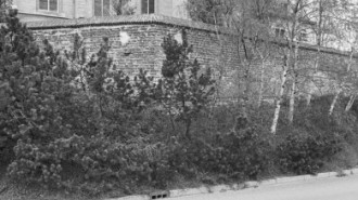 Rijksdienst voor het Cultureel Erfgoed: Tangel, L.M.