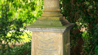 WikiMedia