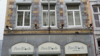 WikiMedia