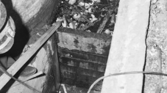 Rijksdienst voor het Cultureel Erfgoed: Korpershoek, W.A.