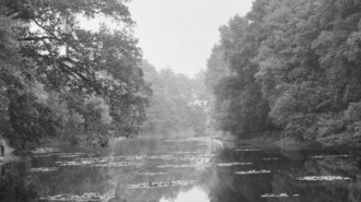 Rijksdienst voor het Cultureel Erfgoed: Schellekens, P.C.