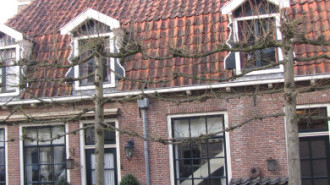 WikiMedia