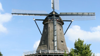 WikiMedia