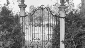 WikiMedia