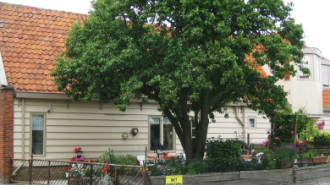 WikiMedia
