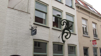 WikiMedia
