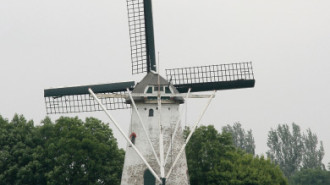 WikiMedia