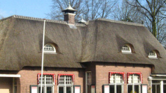 WikiMedia