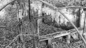 Rijksdienst voor het Cultureel Erfgoed: Tangel, L.M.