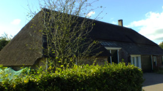 WikiMedia