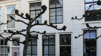 Rijksdienst voor het Cultureel Erfgoed: Brinkkemper, O. (Otto)