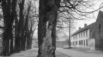 Rijksdienst voor het Cultureel Erfgoed: Delemarre, G.Th.