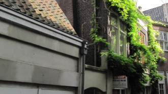 WikiMedia