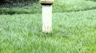 WikiMedia