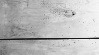 Rijksdienst voor het Cultureel Erfgoed: Koning, de-Koning, J.P. de