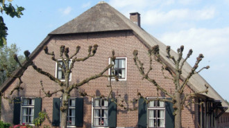 WikiMedia
