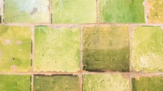 Rijksdienst voor het Cultureel Erfgoed: Sekuur, Mark