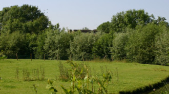 WikiMedia