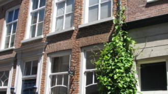 WikiMedia