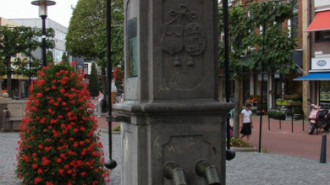 WikiMedia