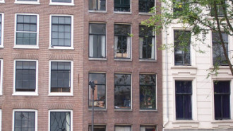 WikiMedia