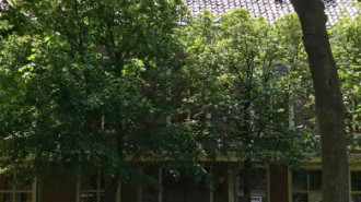 WikiMedia