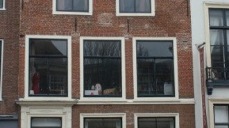 WikiMedia
