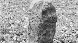 Rijksdienst voor het Cultureel Erfgoed: Wal, A.J. van der