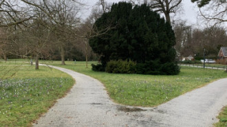 Rijksdienst voor het Cultureel Erfgoed: Bogers, Guido