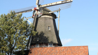 WikiMedia