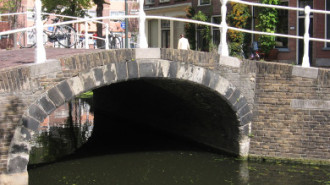 WikiMedia